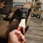 IMG_20221001_162143_256