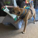 Resized_IMG_20221001_162045_549