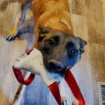 Resized_Screenshot_20220218-171040_Instagram