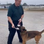 Resized_Screenshot_20221001-161706_Gallery