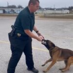 Resized_Screenshot_20221001-161708_Gallery