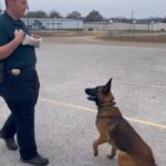 Resized_Screenshot_20221001-161714_Gallery